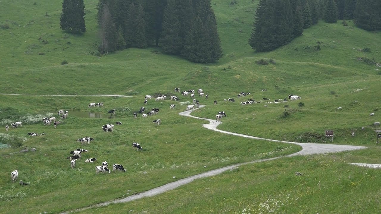 Con Le Malghe Seren Del Grappa Abbraccia La Sfida Di Un Turismo Sempre