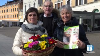 Domenica 4 febbraio si celebra la 46° Giornata per la Vita