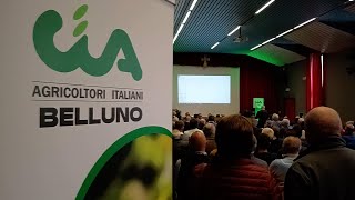 La gestione del lupo in un convegno a Farra d’Alpago