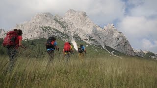 Ritornano le visite guidate gratuite all’interno del Parco Nazionale delle Dolomiti Bellunesi