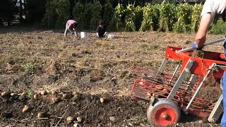 CIA Veneto lancia l’allarme: mancano più di 20 mila lavoratori stagionali in agricoltura