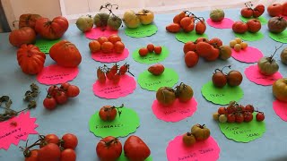 Il pomodoro protagonista a Seren del Grappa