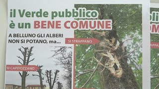 Fiab e Italia Nostra unite a sostegno del verde urbano bellunese