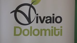 Vivaio Dolomiti chiede di partecipare ai tavoli per l’elettrodotto di Terna