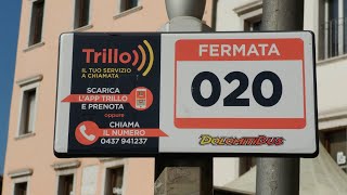 200 prenotazioni al giorno: presentati i dati dei primi 4 mesi di “Trillo”