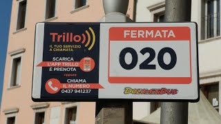 La consigliera Cassol fa i conti a “Trillo”: “Con il servizio a chiamata eliminate oltre 100 corse”