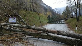 6 anni di Vaia, tra ricordi, emozioni e investimenti sul territorio