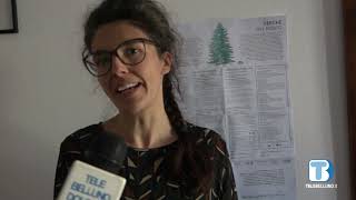 Al via liberi nel bosco: la rassegna proposta da Isoipse per la riapertura della Biblioteca civica