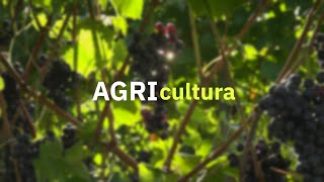 AGRIcultura – Episodio 3