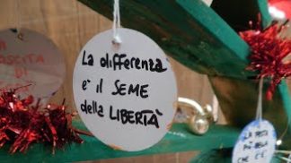 Fantasia al potere a Palazzo Crepadona: in mostra gli alberi di Natale a tema inclusività