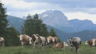 Con il Centro Europe Direct Montagna Veneta focus su innovazione e agricoltura